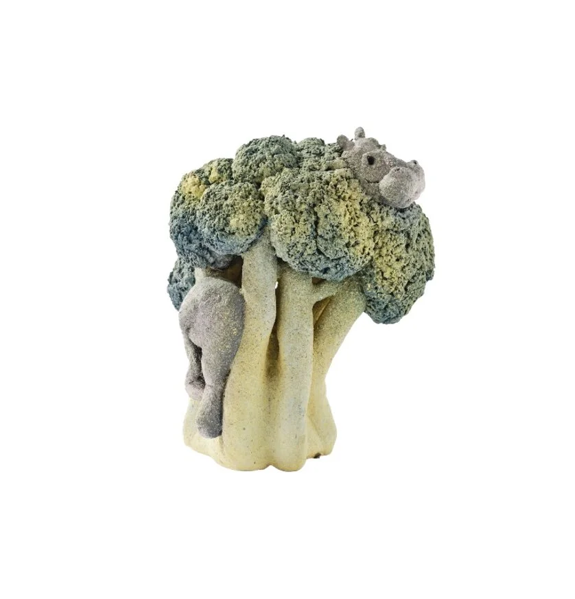 Broccoli et Hippopotame | Capri