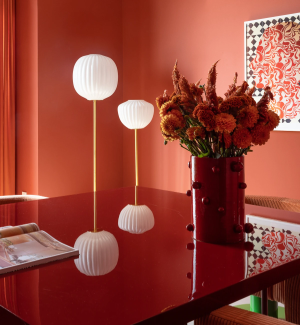 back.india-mahdavi (3).png