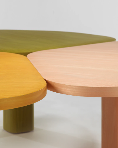 back.india-mahdavi (16).png