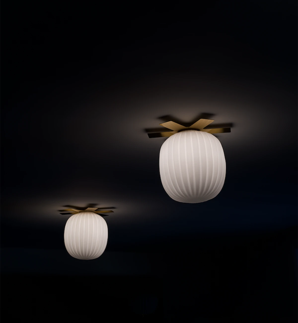 back.india-mahdavi (3).png