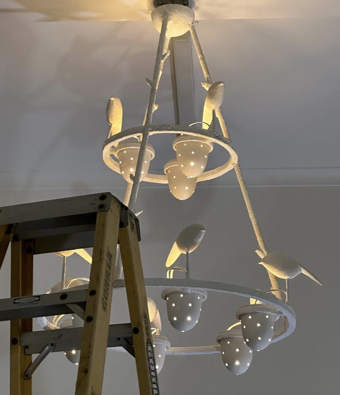 Screenshot 2025-10-09 at 10.49.13 am.png