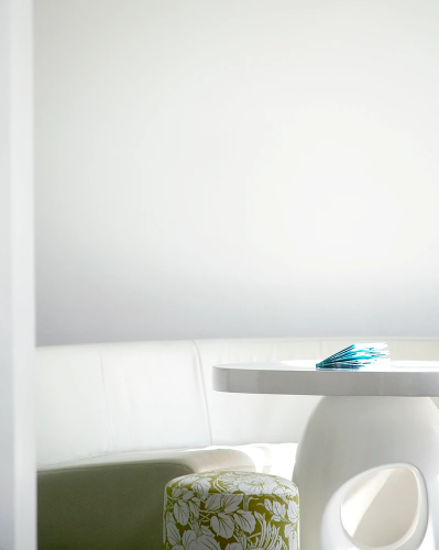 back.india-mahdavi (8).png