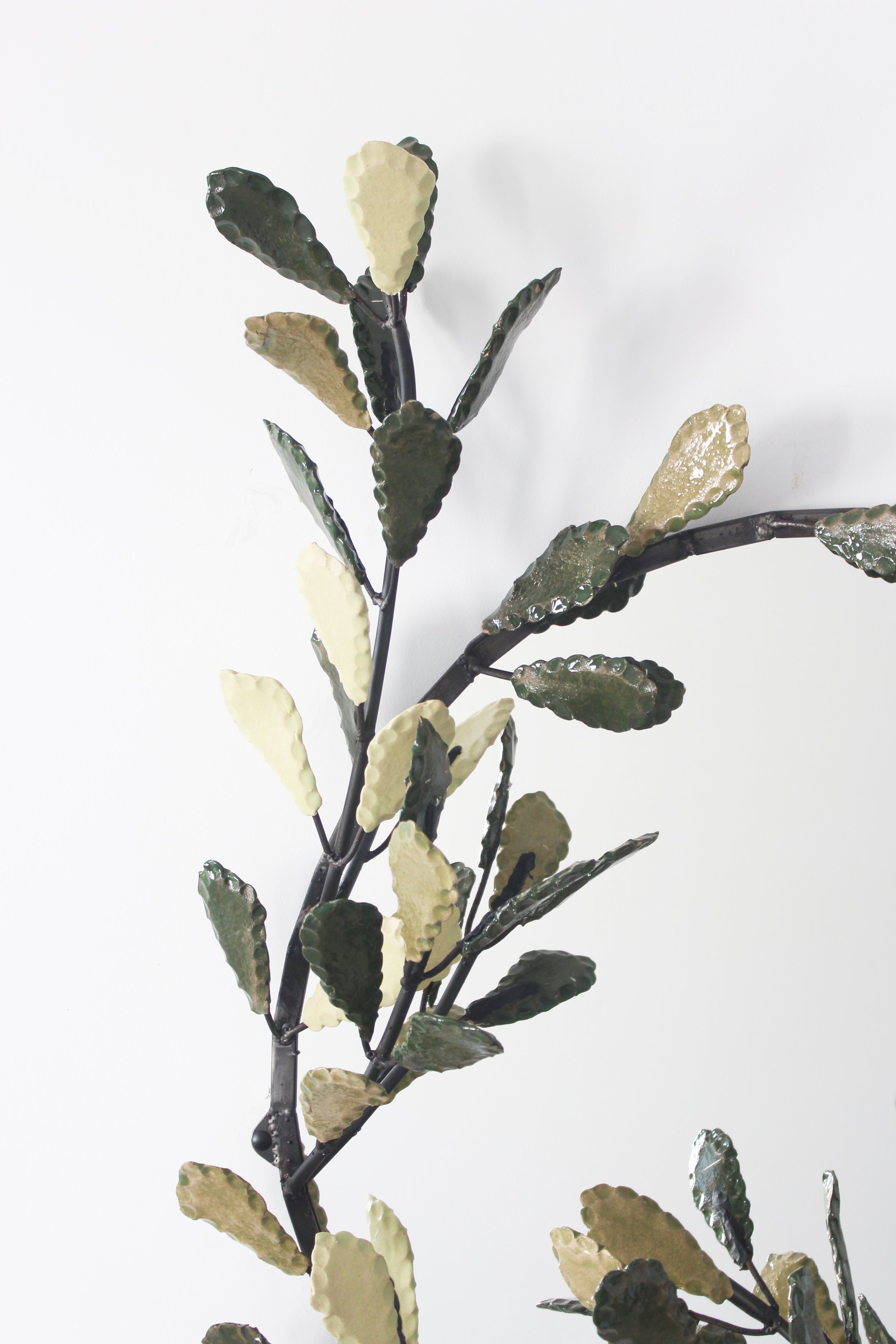 Miroir apial zoom.JPG