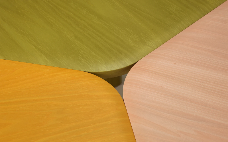 back.india-mahdavi (14).png