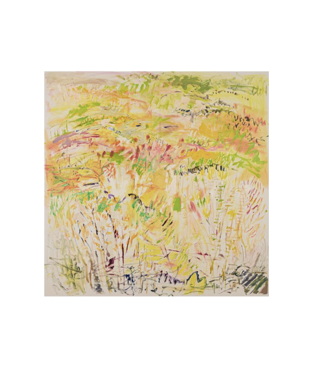 Screenshot 2025-11-19 at 11.42.31 am.png