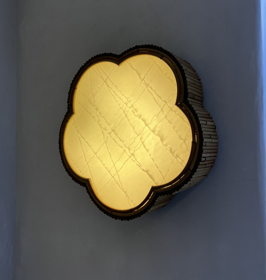 Screenshot 2025-03-18 at 11.49.07 am.png