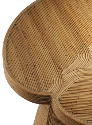 back.india-mahdavi (13).png