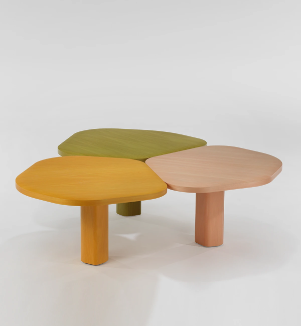 back.india-mahdavi (15).png