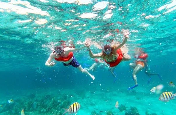 Blue Hole & Dunn's River Falls Tour