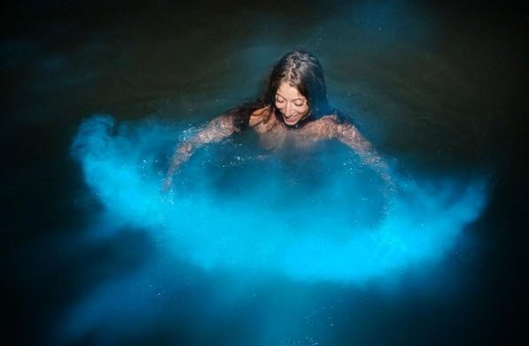 Luminous Lagoon Night Tour