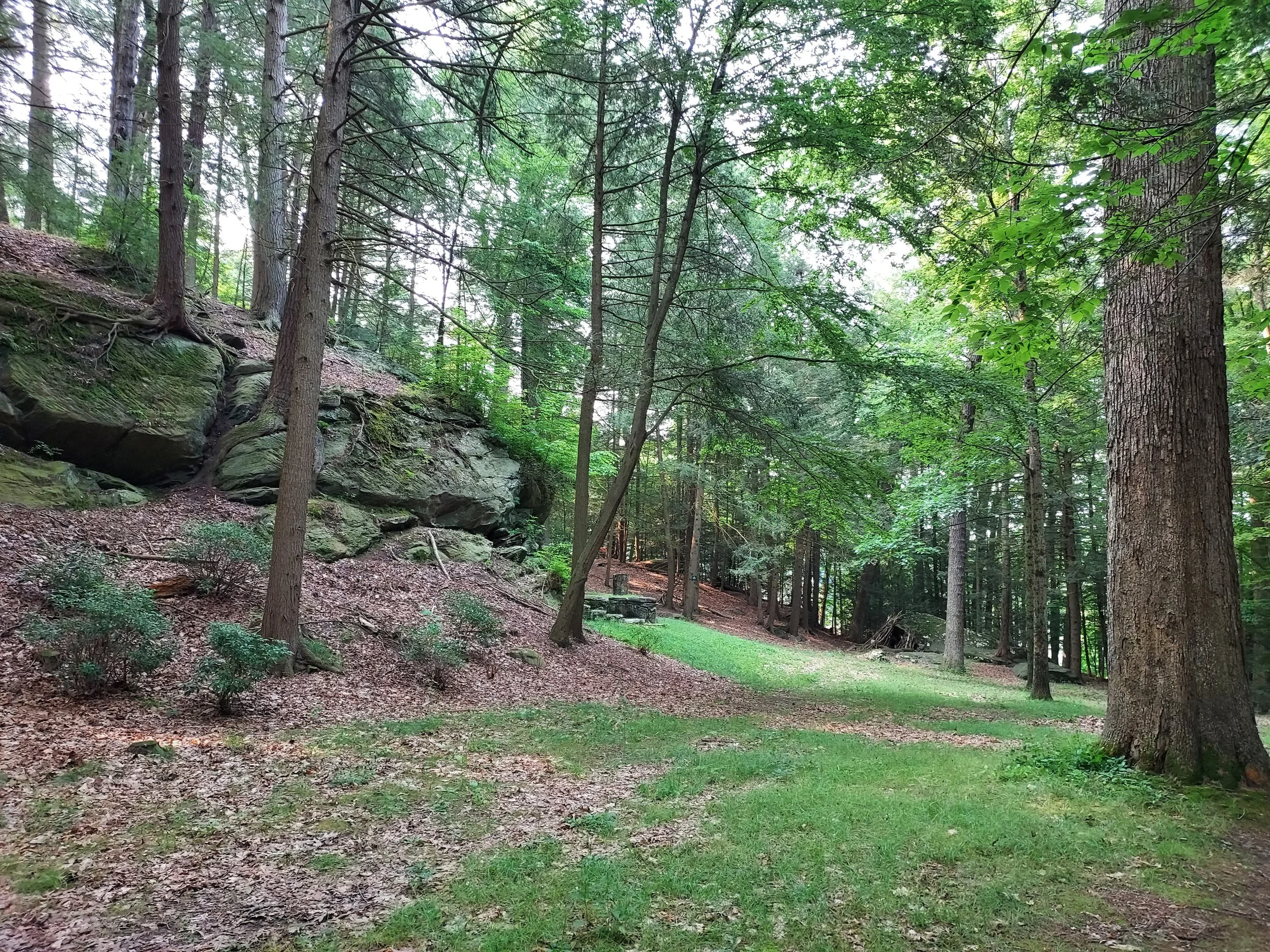 Nature Inspired Tai Chi