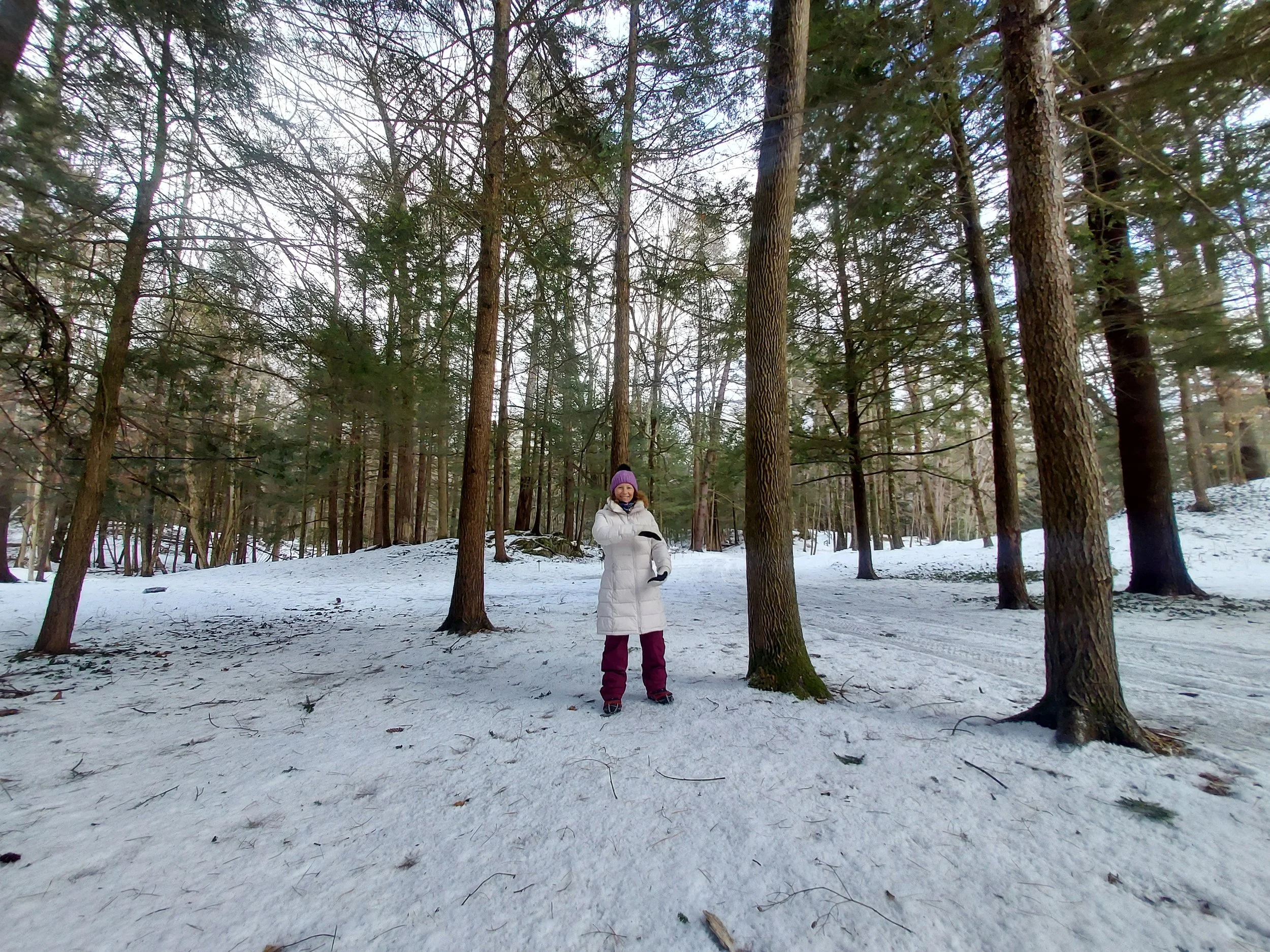 Valentine’s Day Forest Bathing &amp; Tai Chi at The Mount