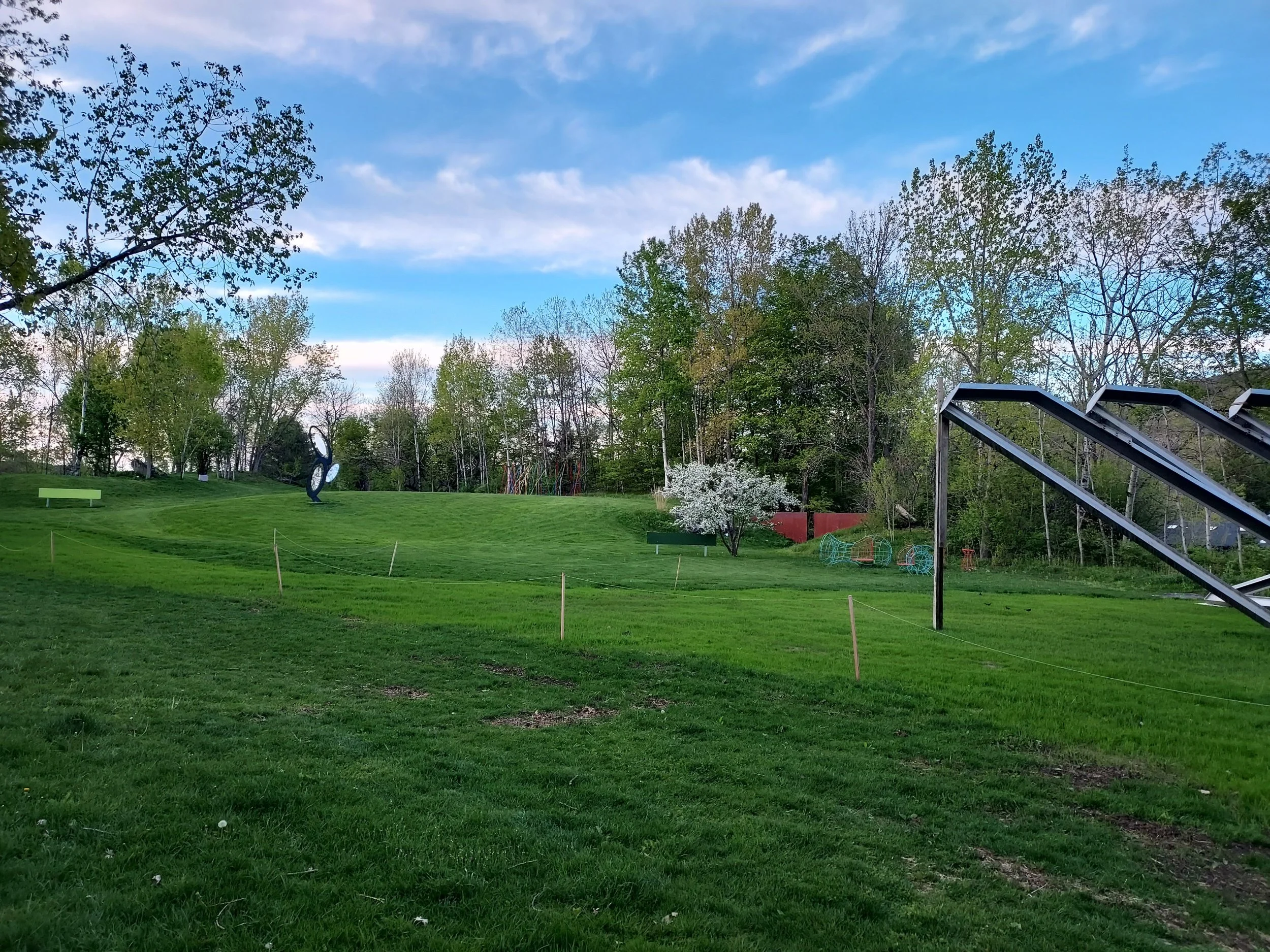 Tai Chi in the Park: 24 Move Form 