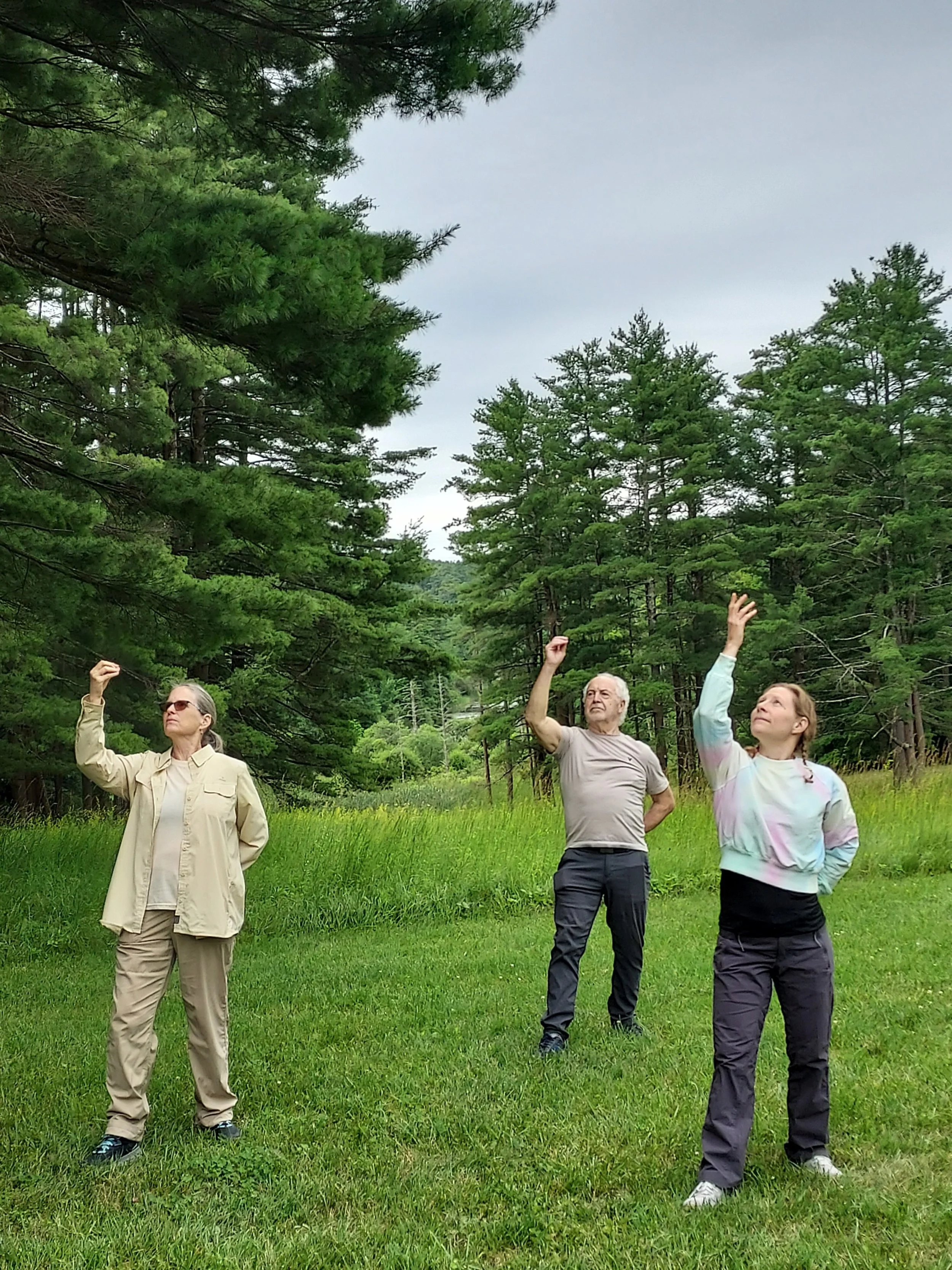 Forest Bathing & Tai Chi
