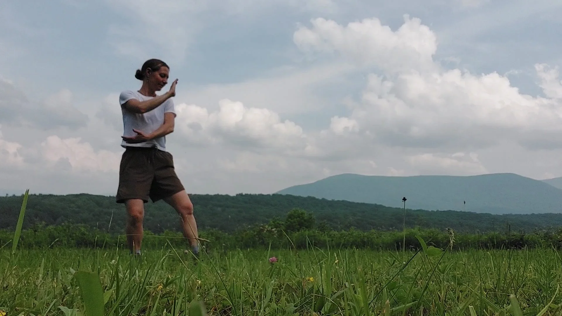 Wave Hands Like Clouds: Tai Chi for Beginners