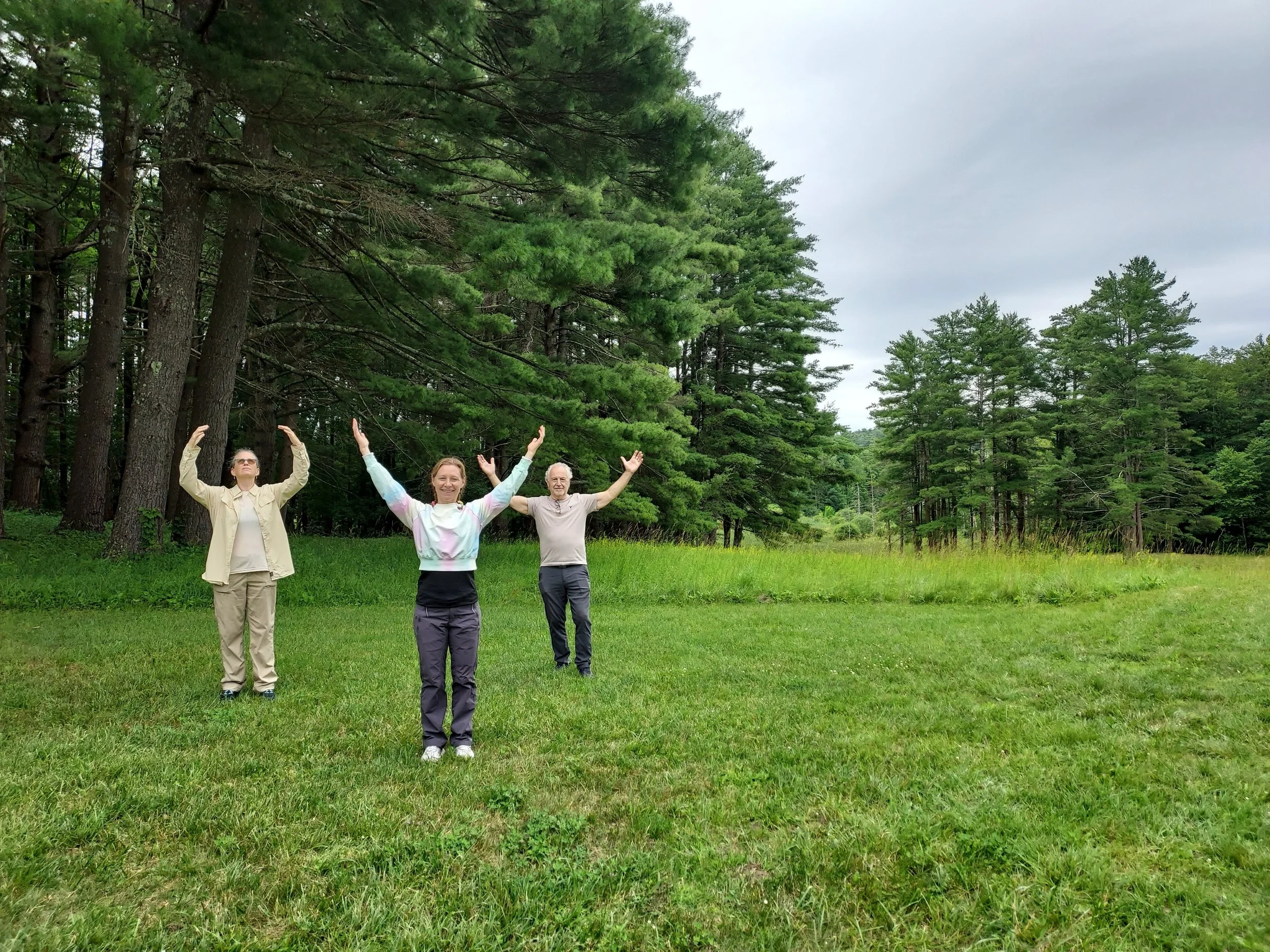 Outdoor Tai Chi