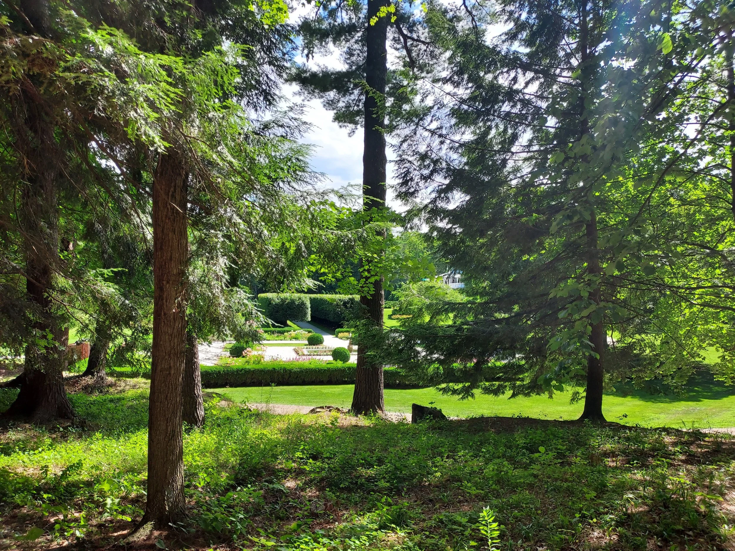 Forest Bathing &amp; Tai Chi at The Mount