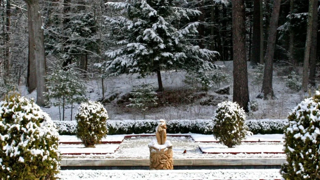 12/6/26 Winter Forest Bathing & Tai Chi at The Mount (2:30-3:30pm)