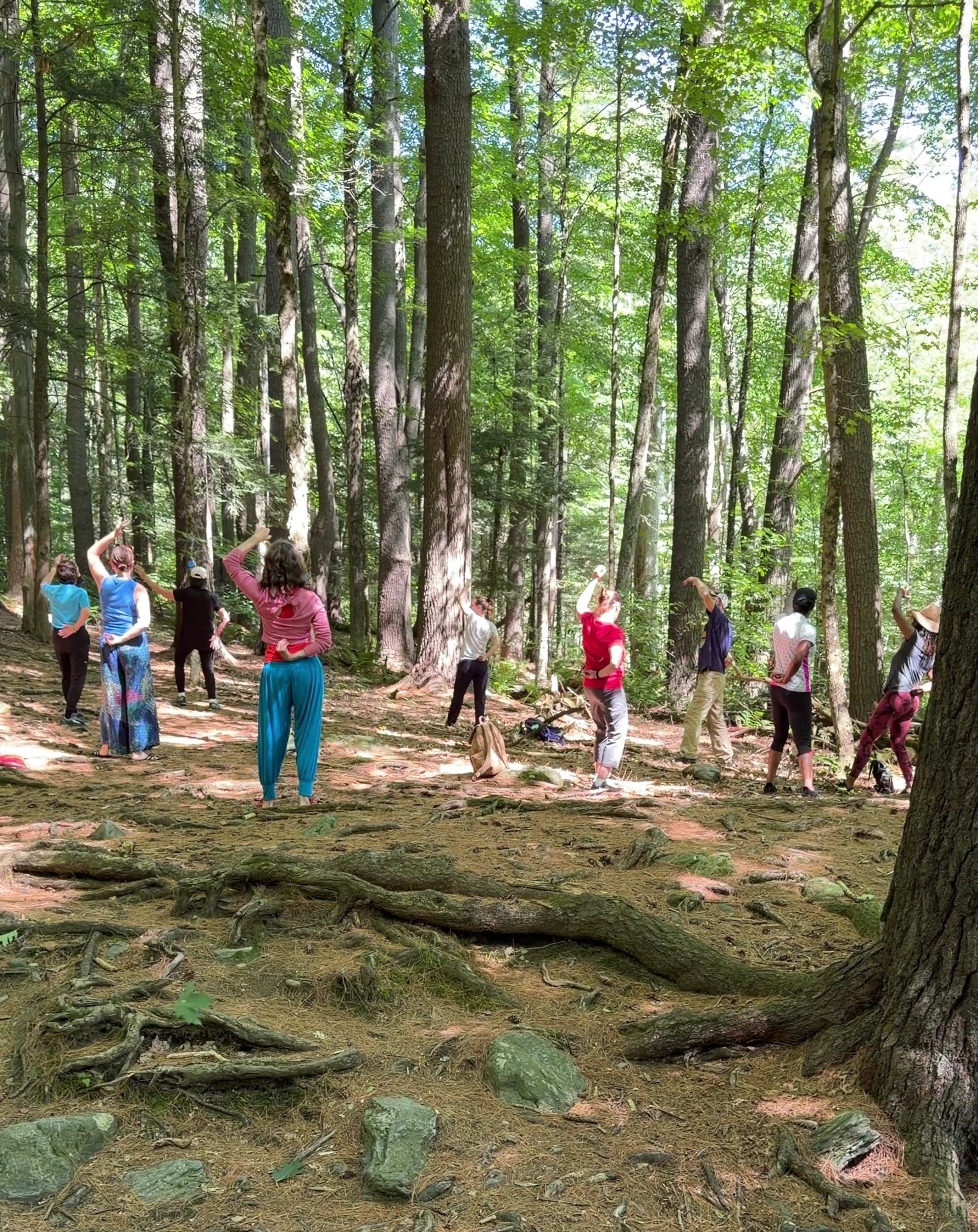 Nature Inspired Tai Chi