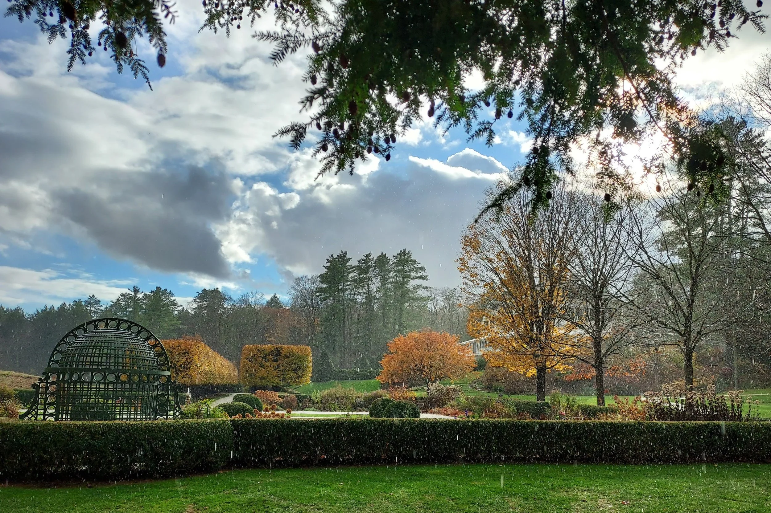 Forest Bathing &amp; Tai Chi at The Mount