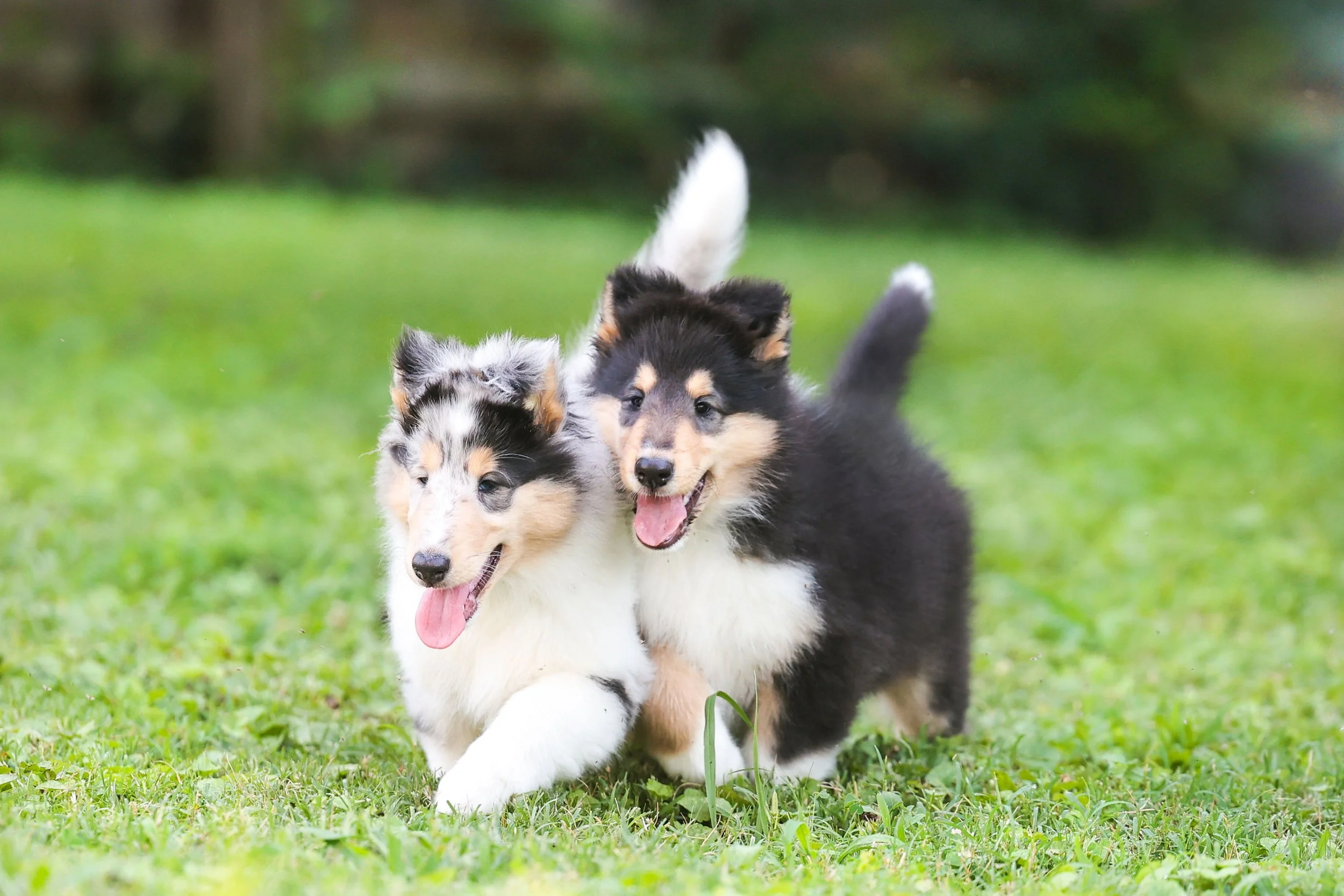 DianeLewisPhotography-46 (1).jpg