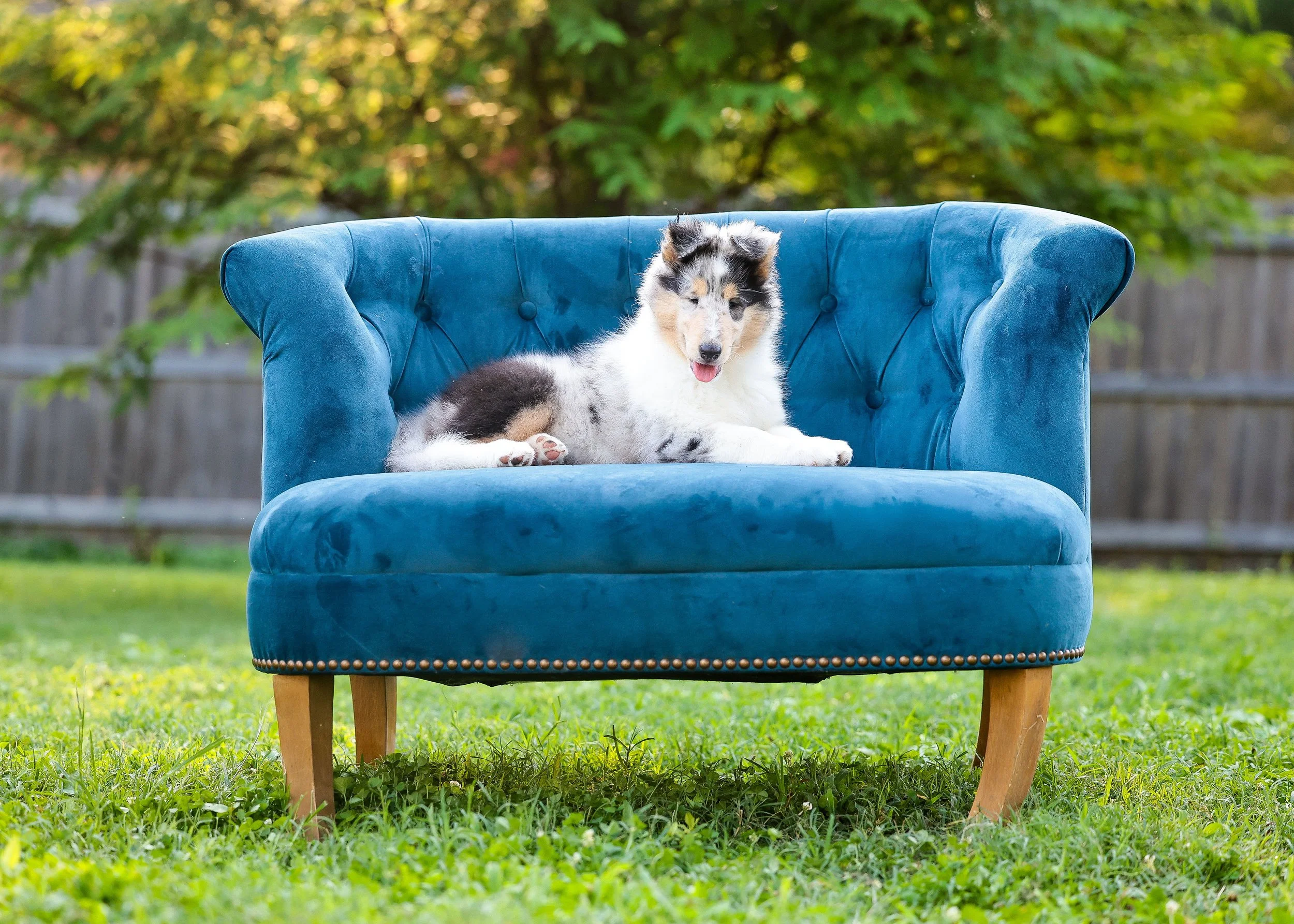 DianeLewisPhotography-115 (1).jpg