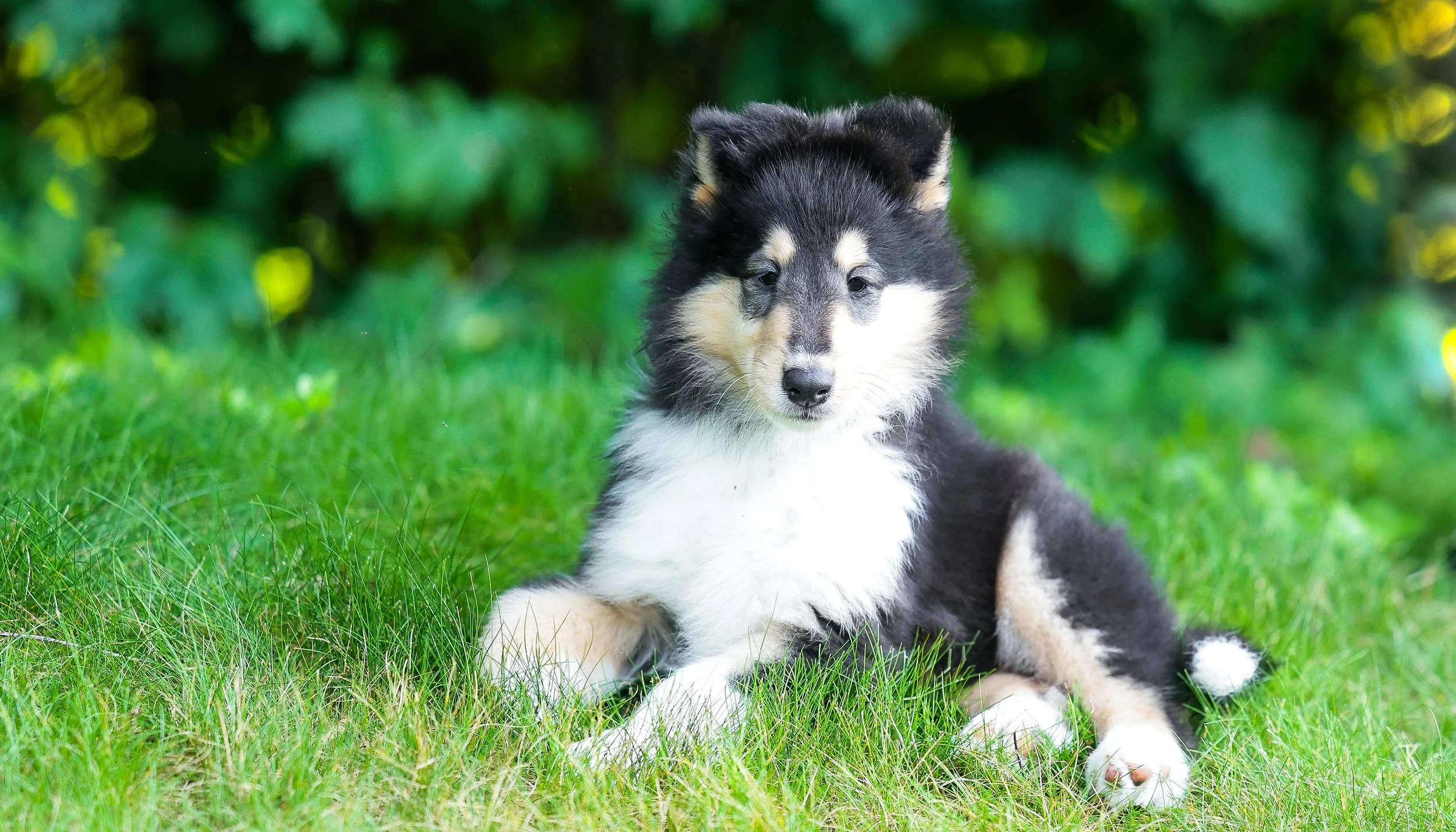 DianeLewisPhotography-20 (1).jpg