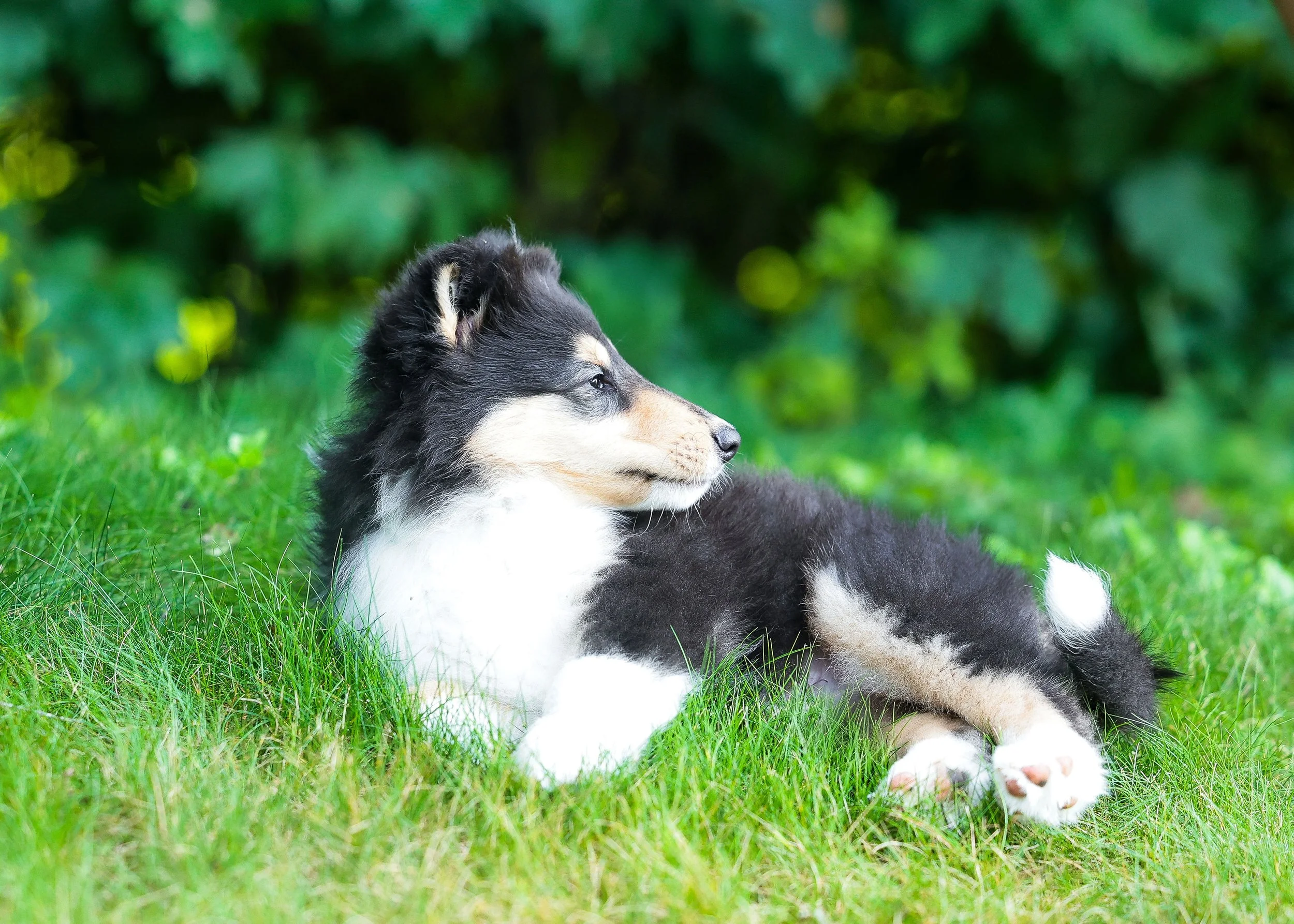 DianeLewisPhotography-19 (1).jpg