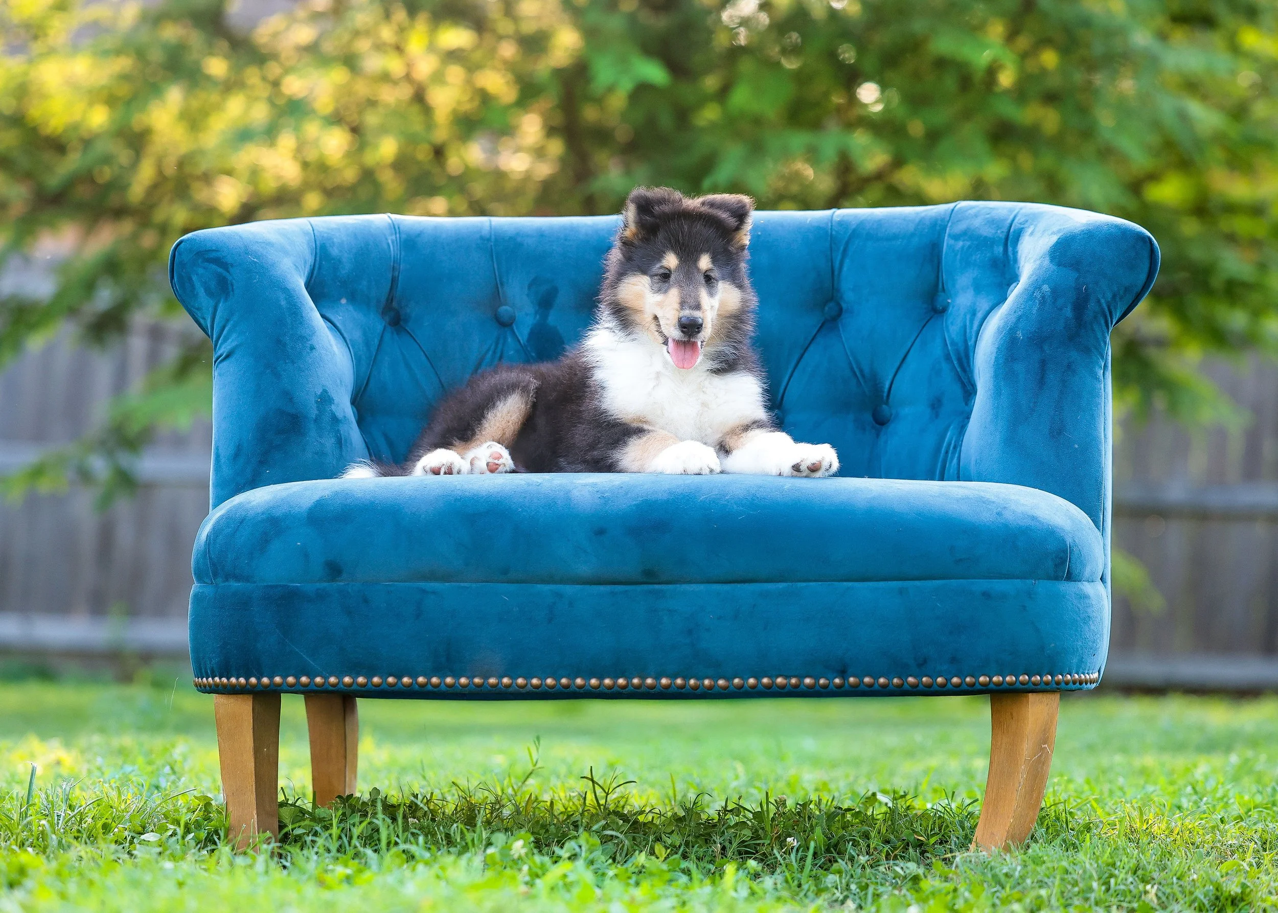 DianeLewisPhotography-111 (1).jpg