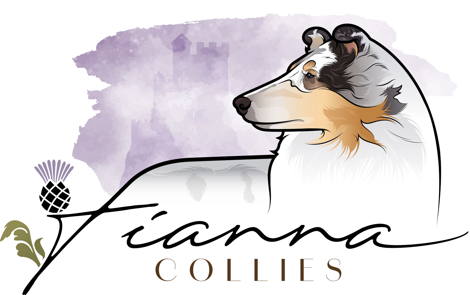 Fianna Collies