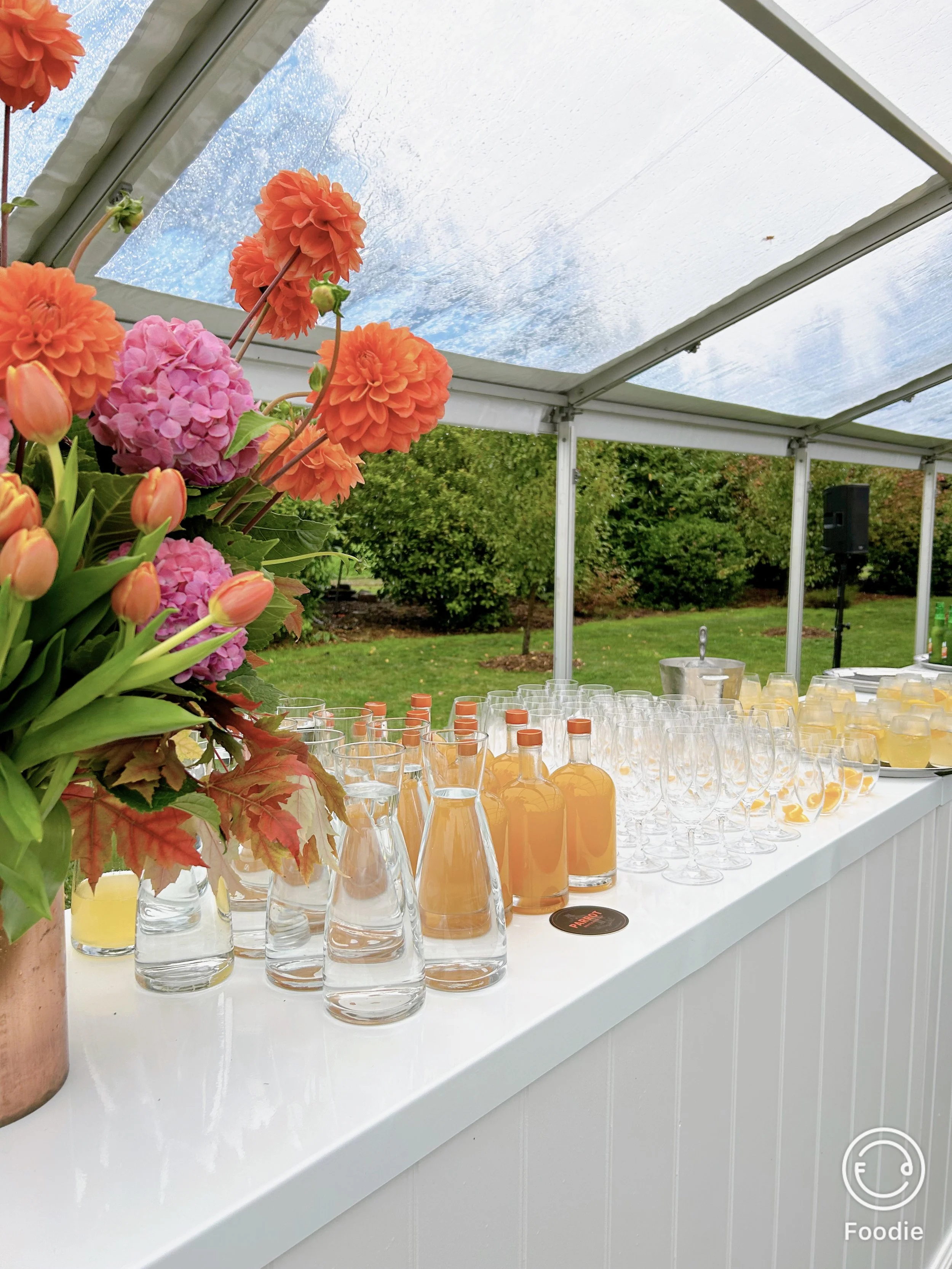 Torie Finane Foundation Annual Dinner