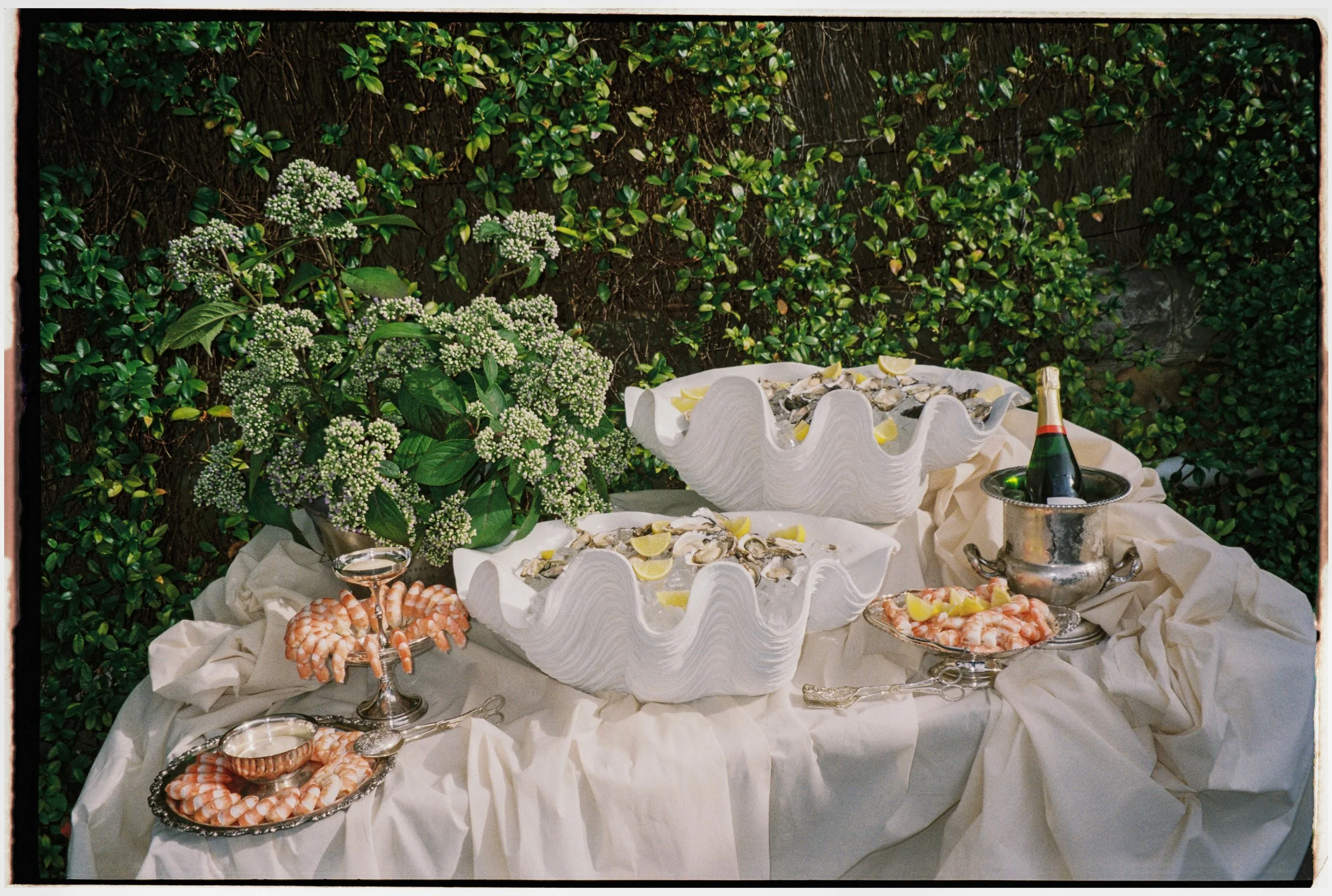 Jason Corroto Photo (75 of 82).jpg