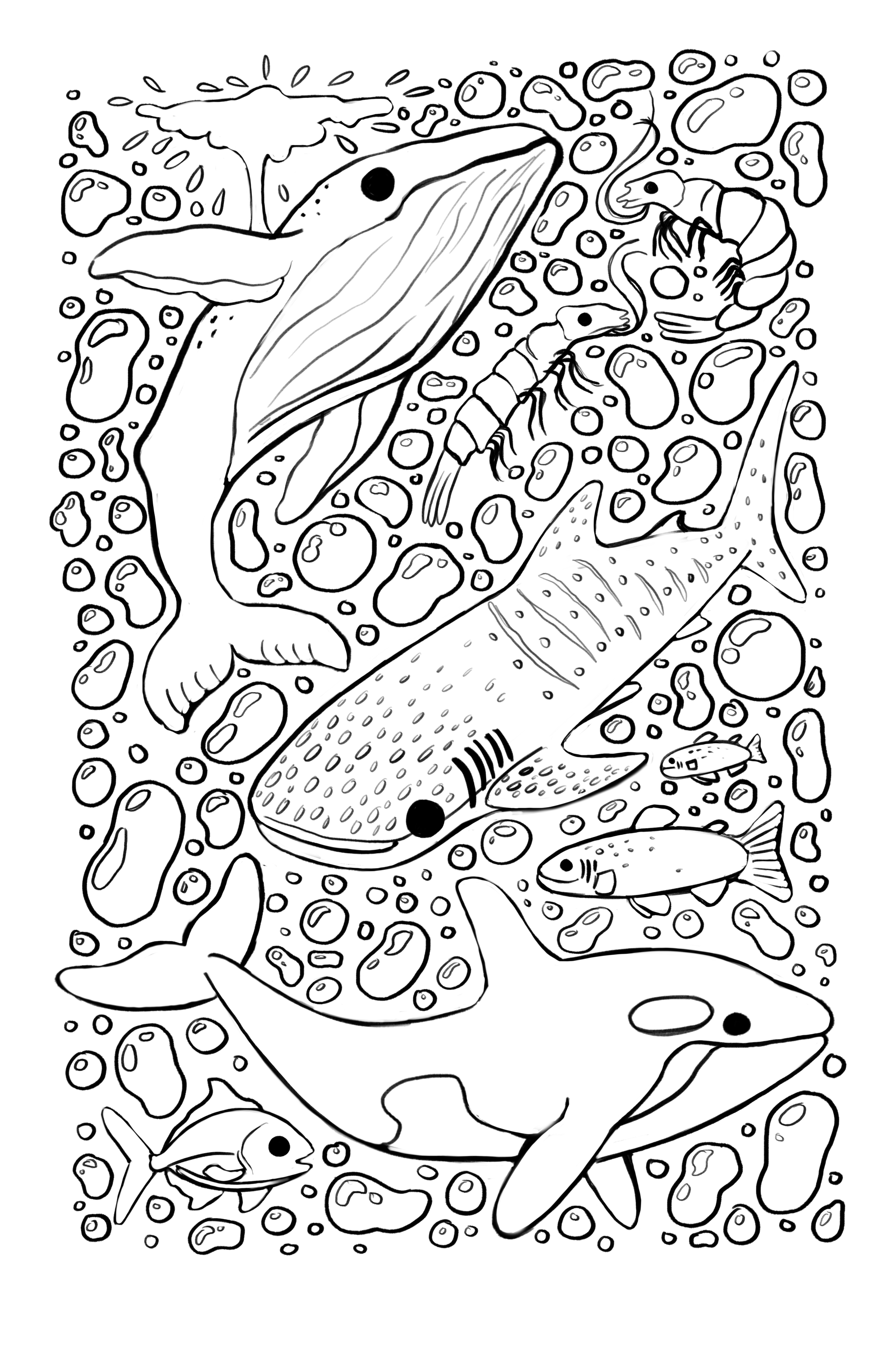 IMG_1347.png