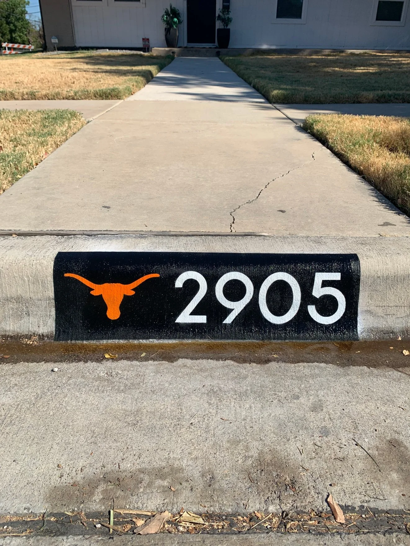 design-longhorns-2905.jpg