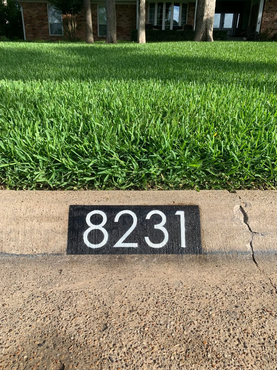 basic-8231.jpg