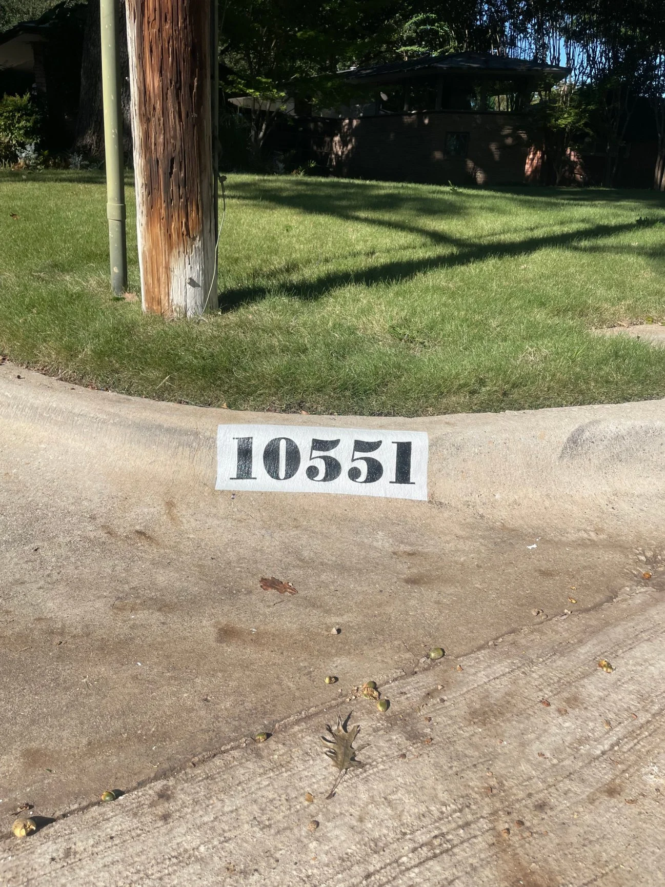 basic-10551.jpg