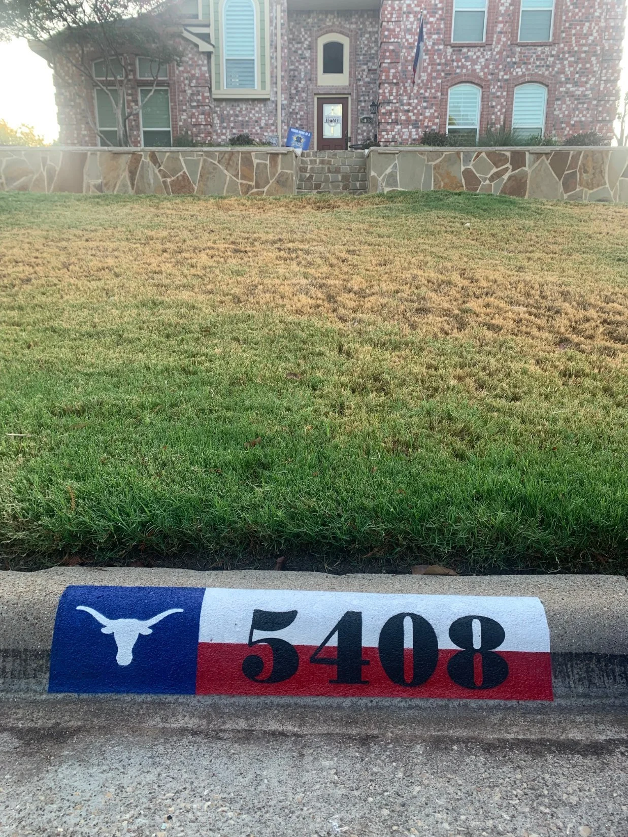 design-longhorns-5408.jpg