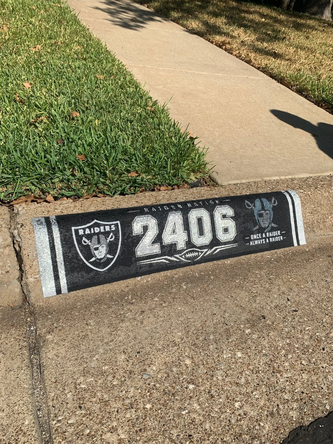 specialty-raiders-2406b.jpg