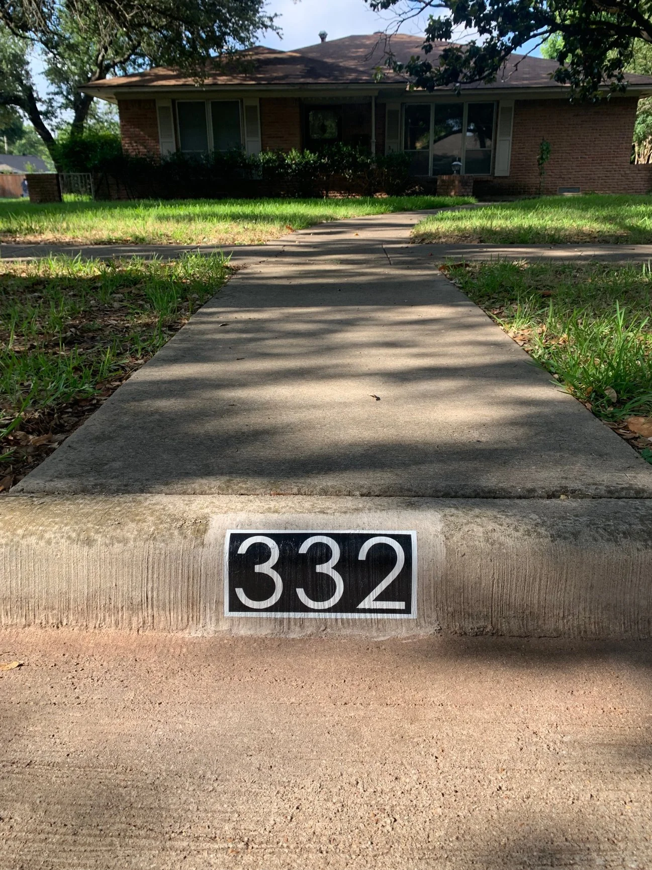 basic-332.jpg