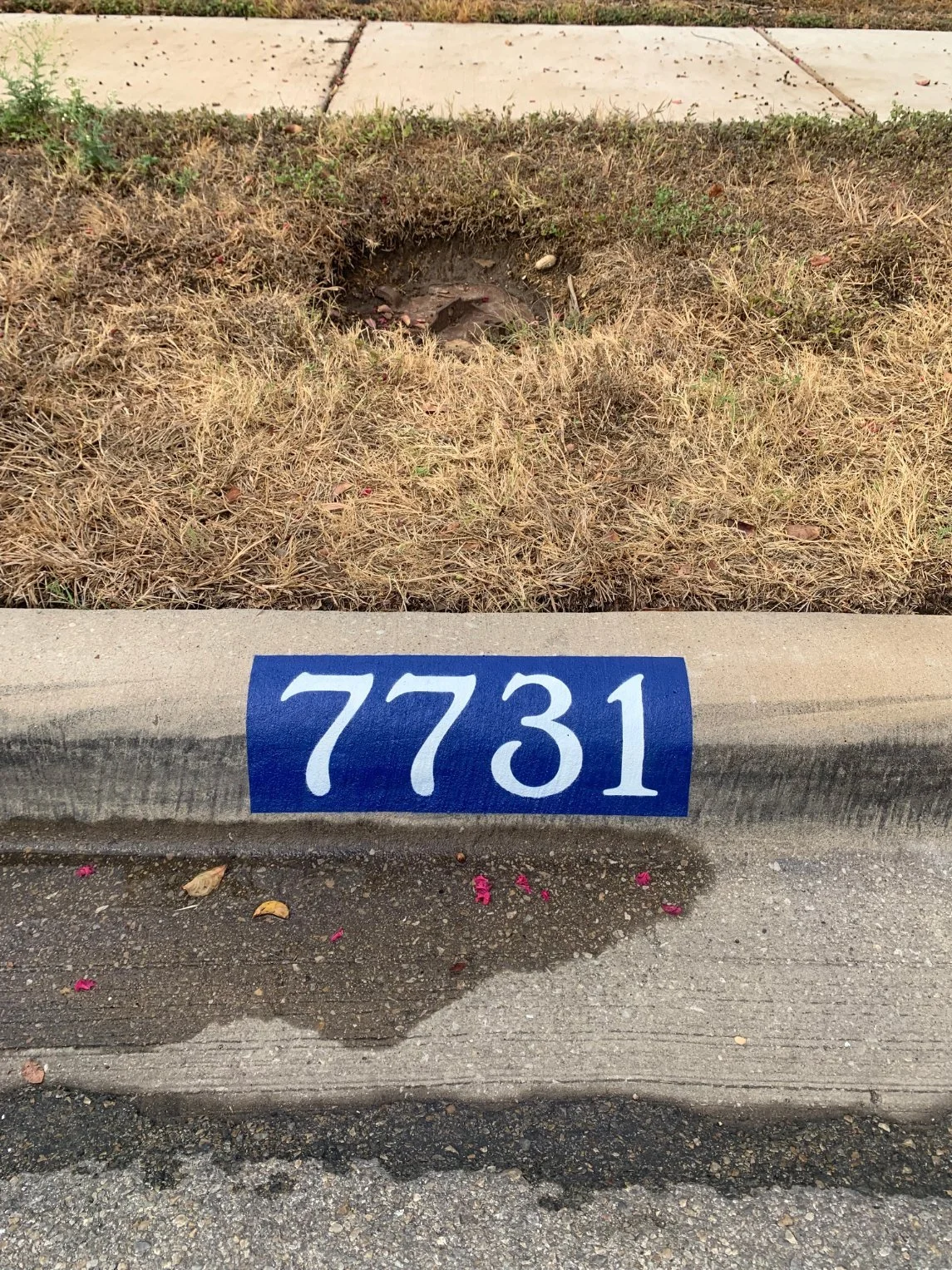 basic-7731.jpg