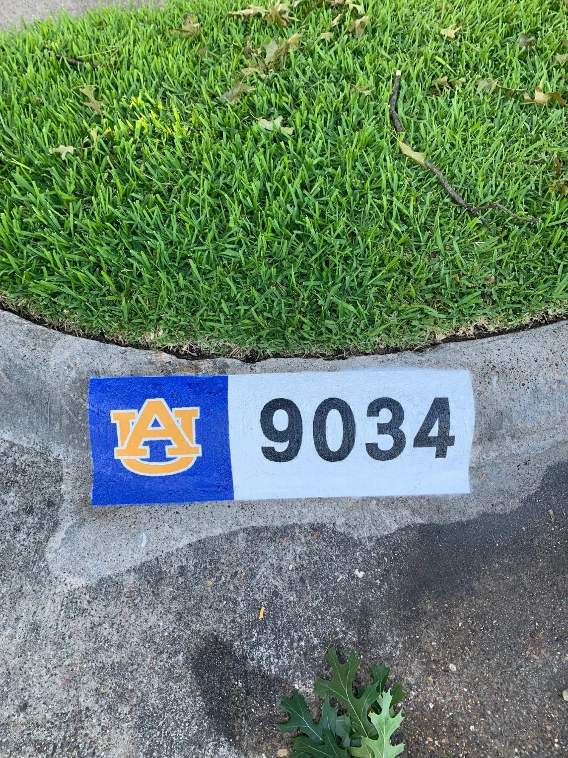 design-auburn-9034.jpg