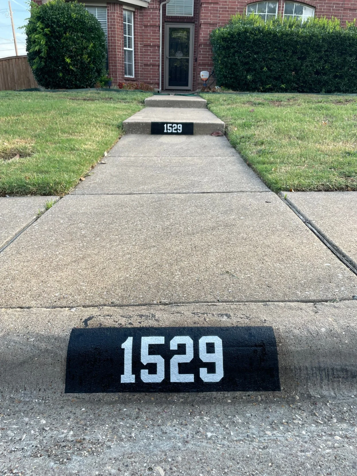 basic-1529.jpg