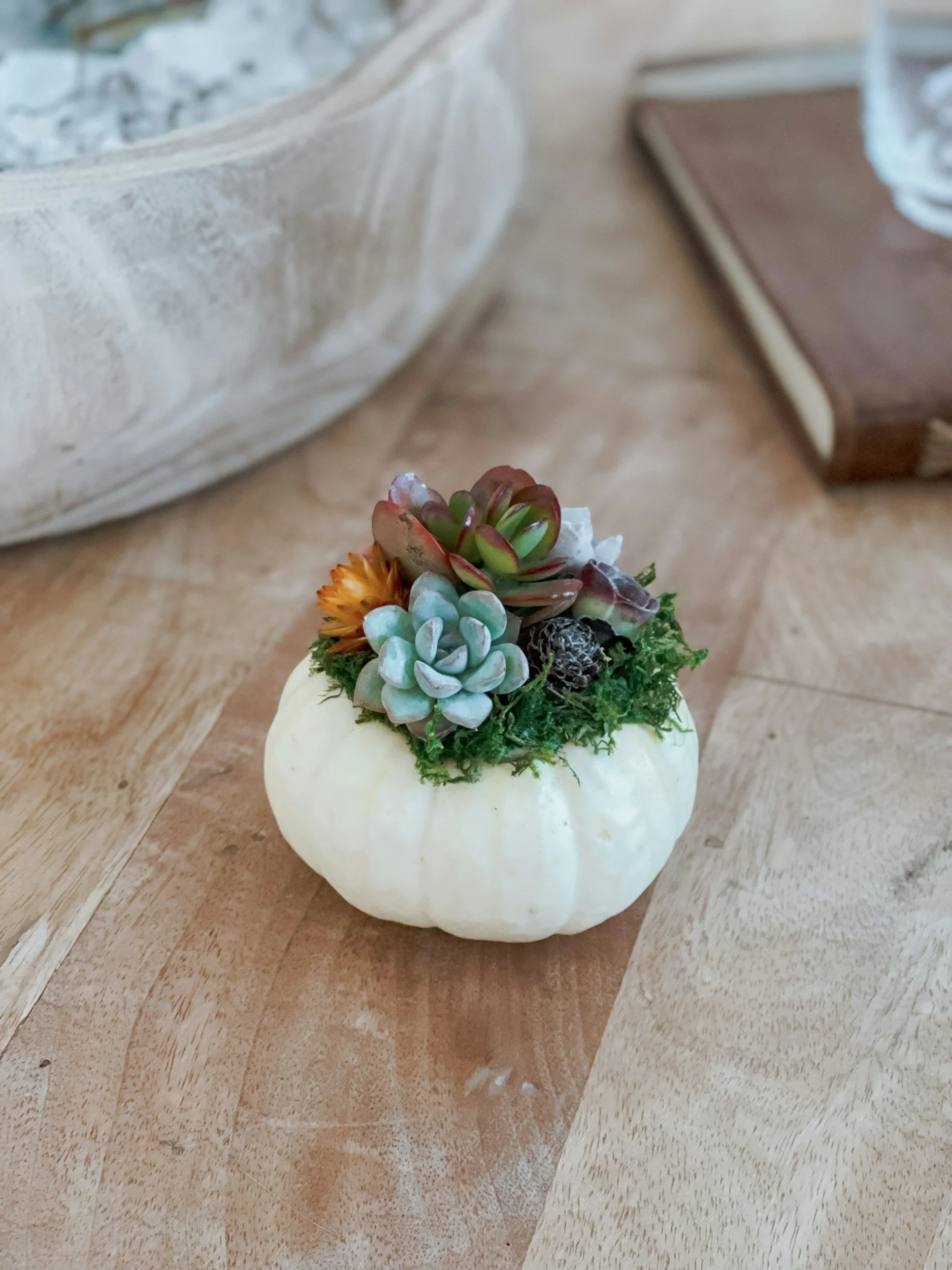 Pumpkin Succulent Centerpiece