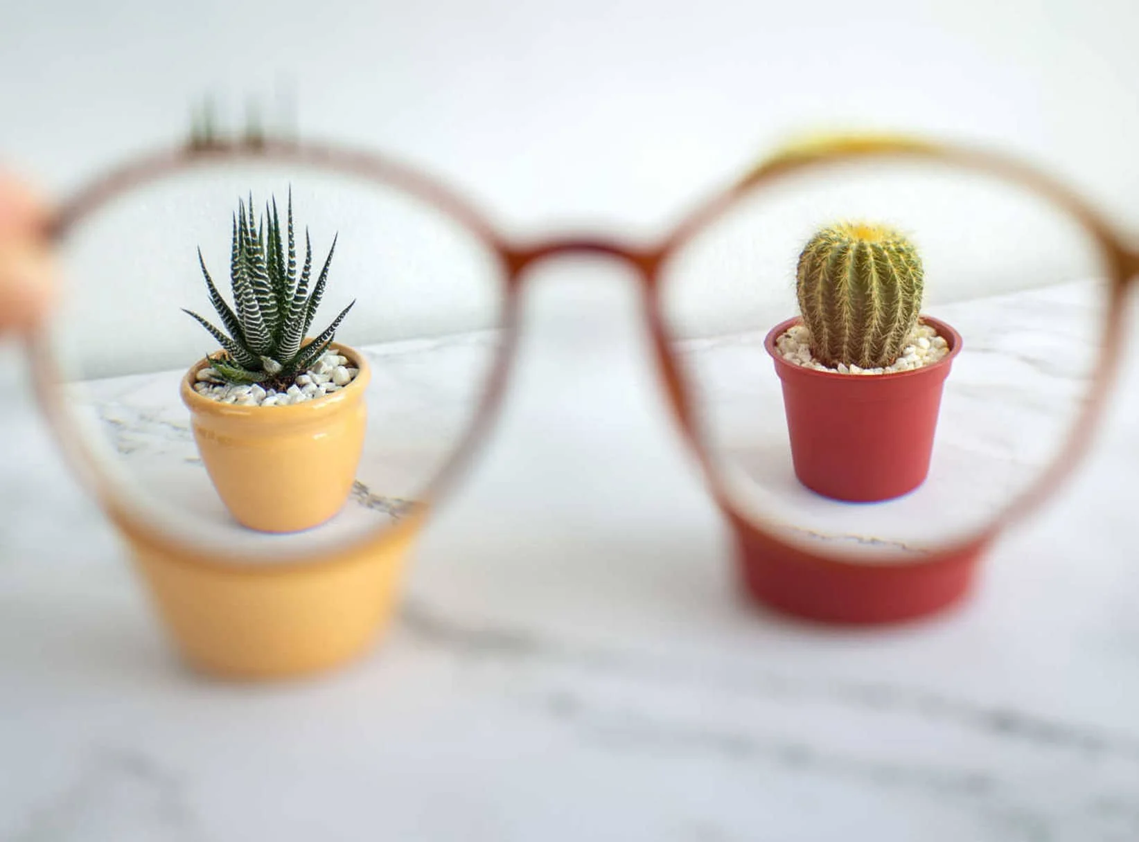 myopia-treatment-in-adelaide-cbd