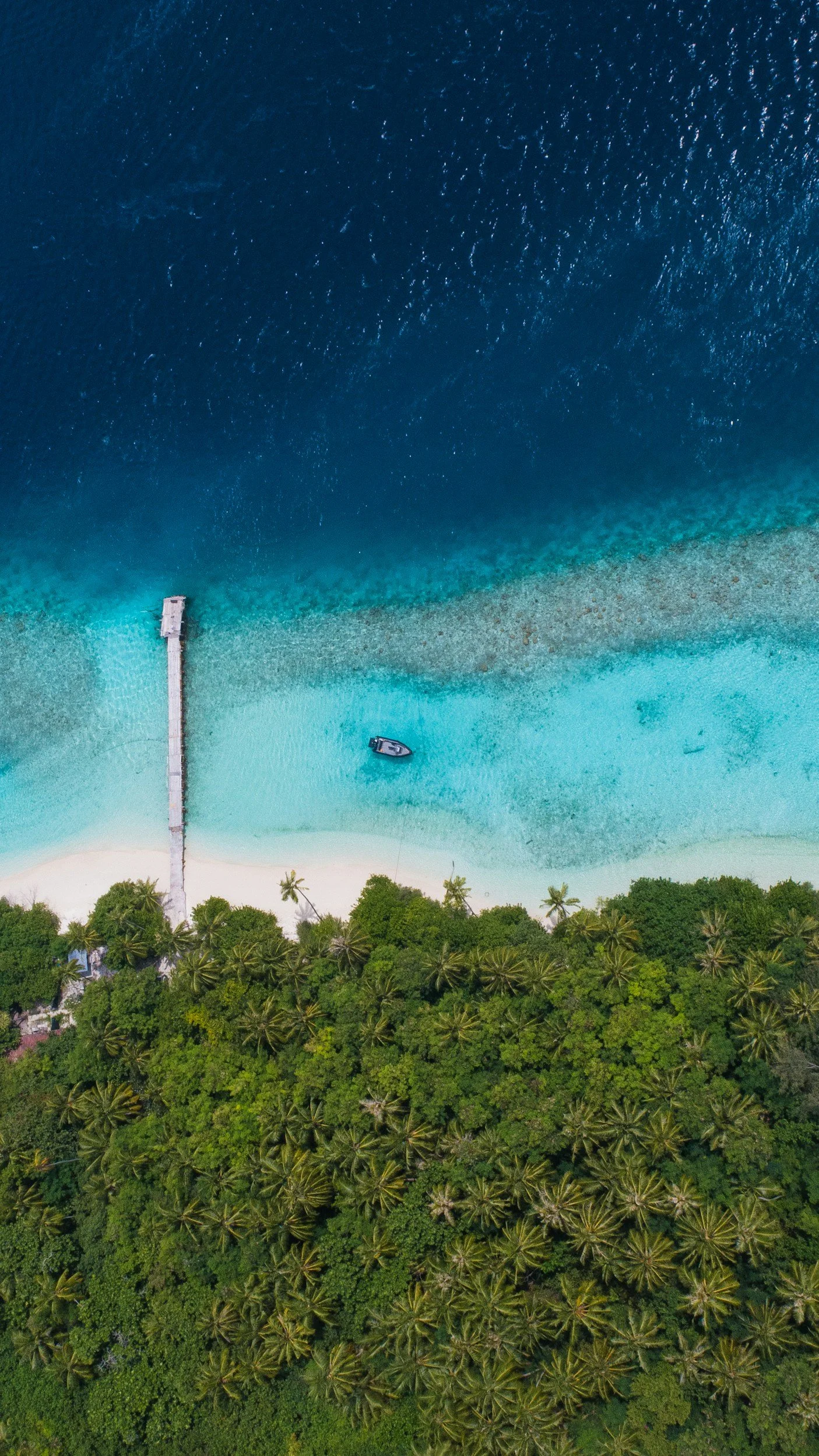 An aerial view of a tropical beach with a pier extending into the ocean, a boat anchored near the shore, and lush green palm trees lining the beach.