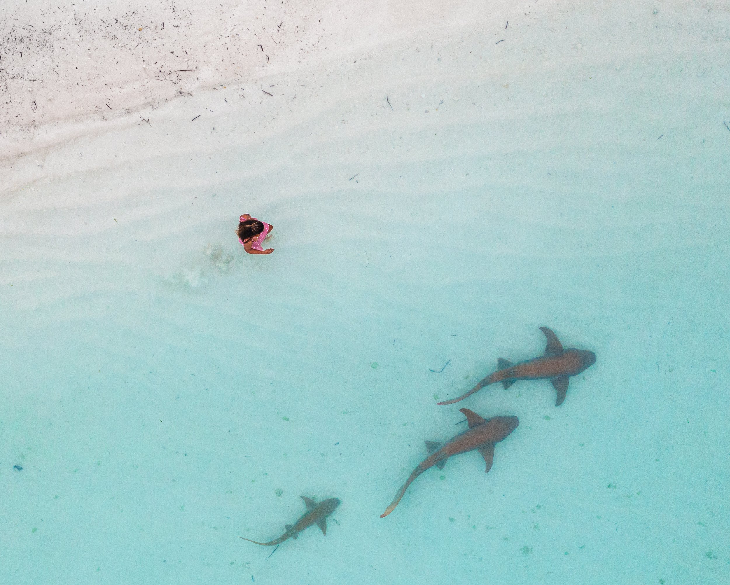 VV.C140.03.11.202104 - Photos - Maldives (29).jpg