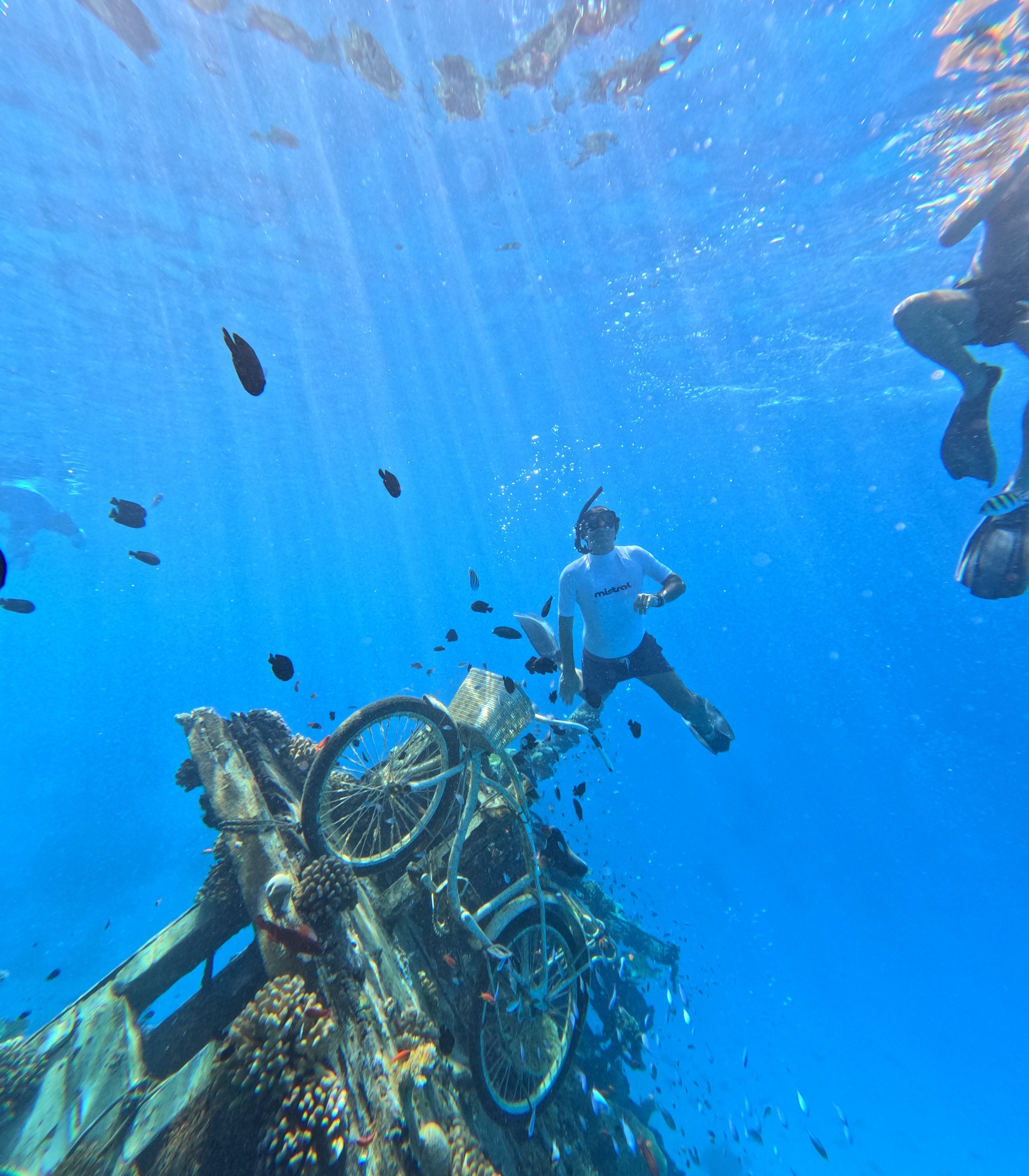 A person scuba diving underwater near a pile of bikes and debris, surrounded by fish and blue water.