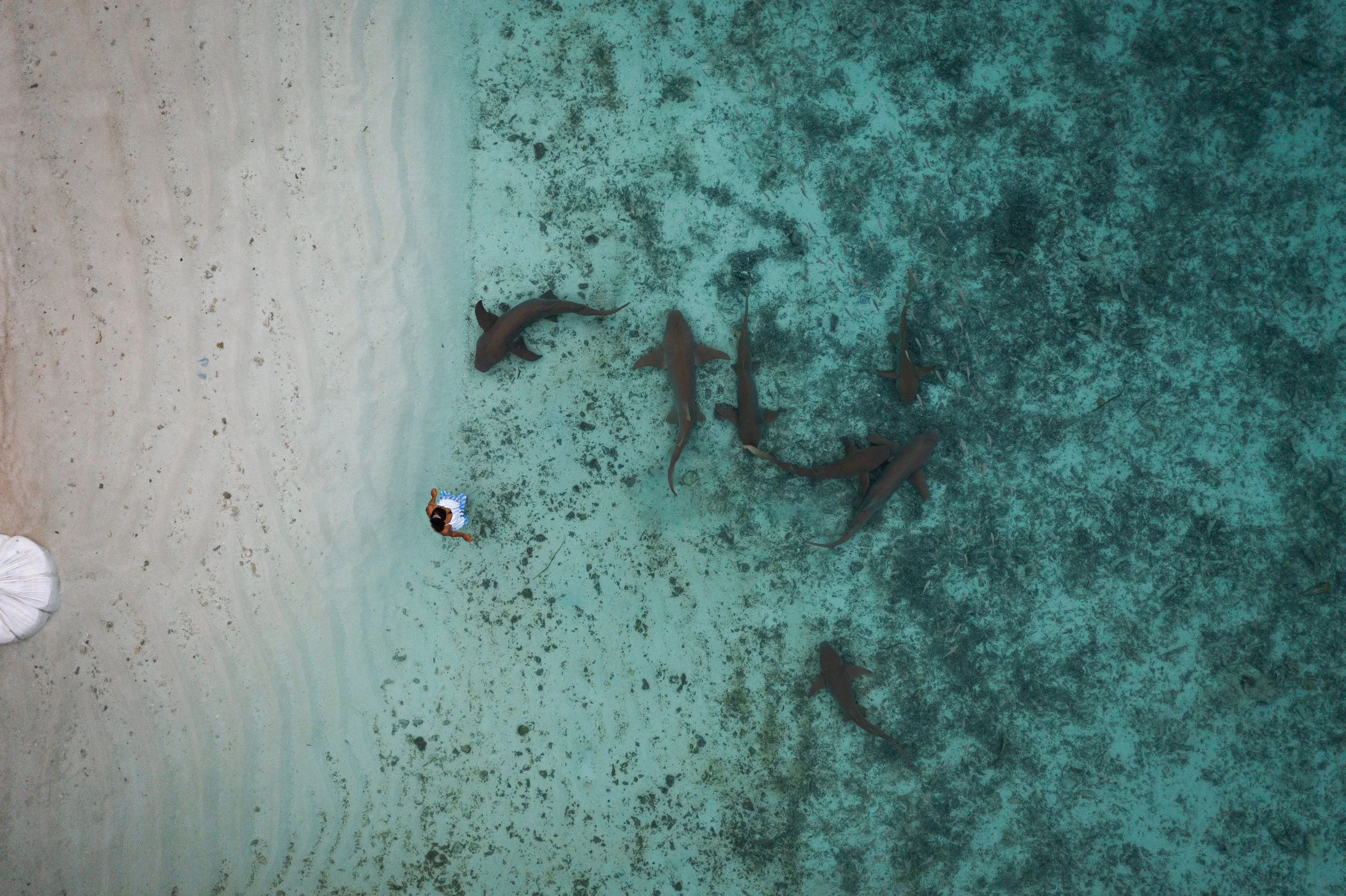 VV.C140.03.11.202104 - Photos - Maldives (13).jpeg