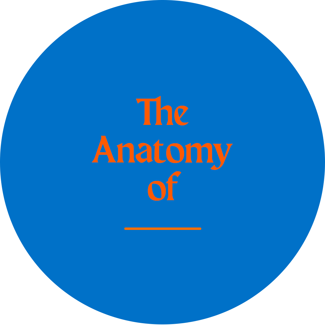 The Anatomy Of ____