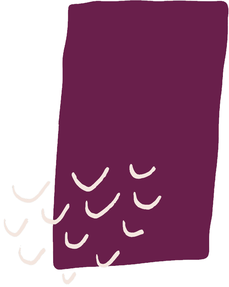 Spectrum Healthcare Solutions